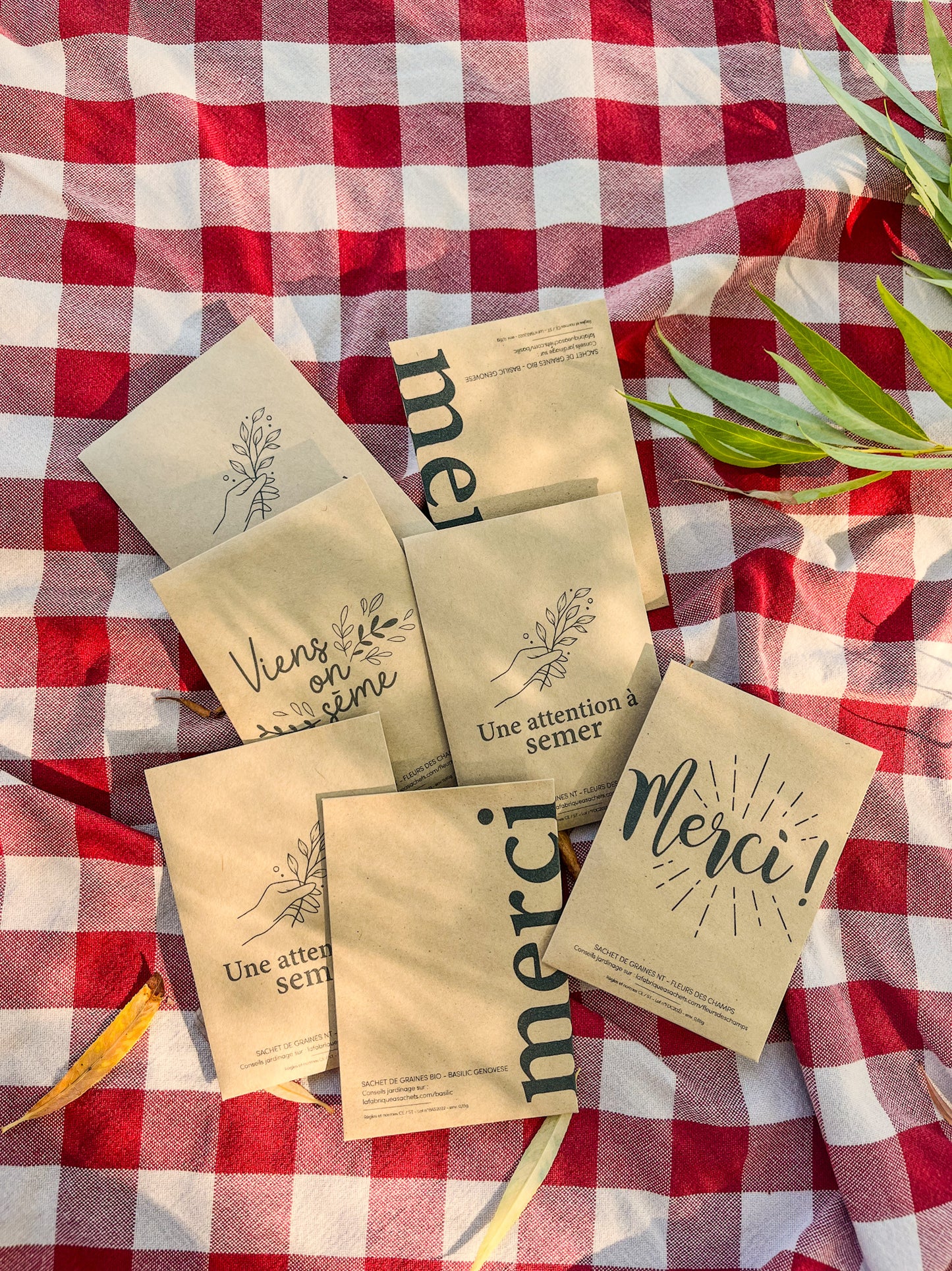Sachet de Graines à planter
