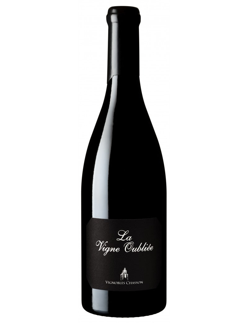 La vigne Oubliée 2021